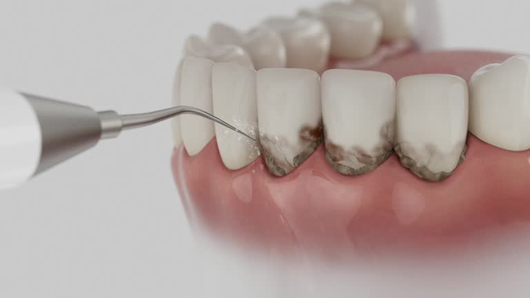 Reliable Dental contractor in Antwerp, OH by Dentist Open Now